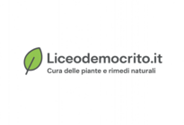 Liceodemocrito.it